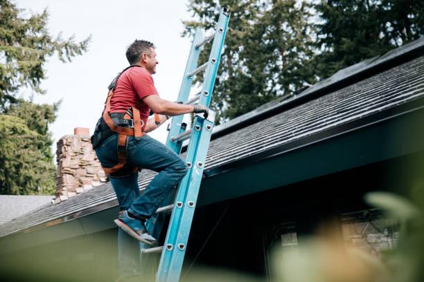 Best Roof Restoration  in Phelan, CA